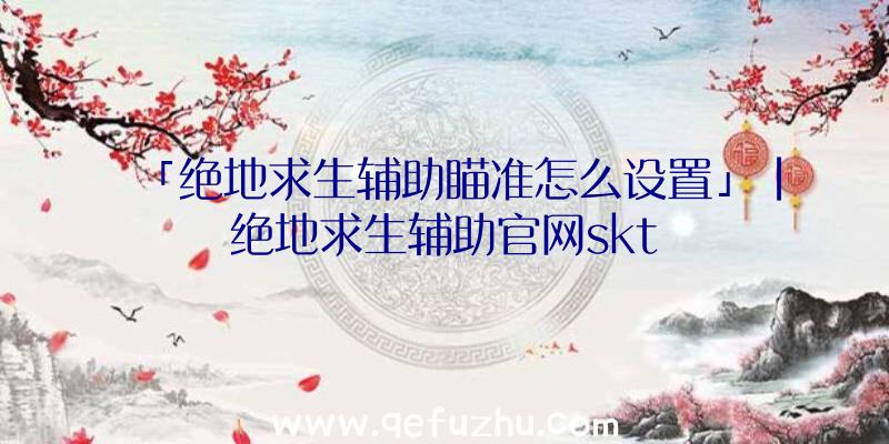 「绝地求生辅助瞄准怎么设置」|绝地求生辅助官网skt